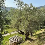 Agrolea Boutique Ristorante Vendégház