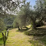 Agrolea Boutique Ristorante Terme Vigliatore