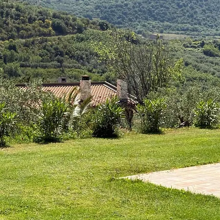 Agrolea * تيرمي فيلياتوري