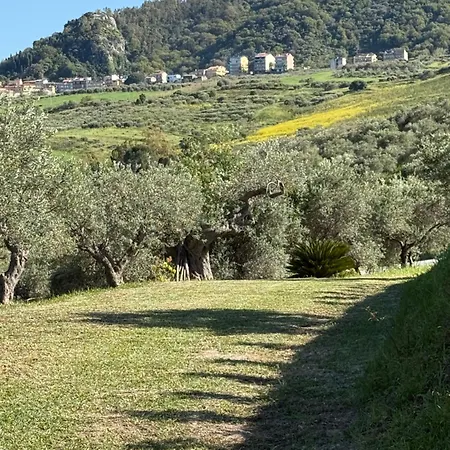 Agrolea بيت ضيافة تيرمي فيلياتوري